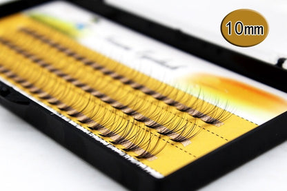 Planting Eyelashes In A Single Cluster Of 10 Natural Mink Hairs